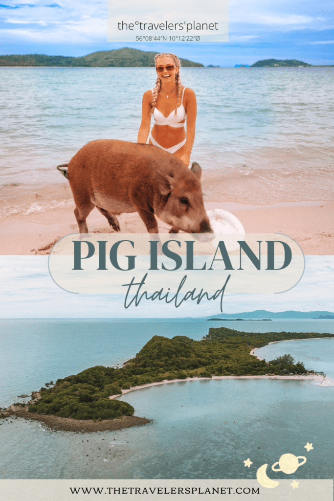 Young women in bikini on a paradise island in Thailand. In front of her is a pig with a plate in the mount. This is pig island. A drone photo shoes the location and areal of the small island near Koh Samui. In the middle is letters saying Pig Island Thailand displayed as a reference to Pinterest in which the viewer can pin the article.