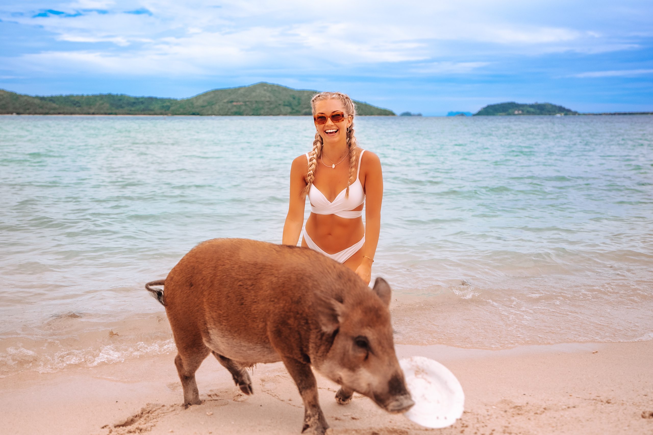 This photo shows a pig running on the beach on and isolated island called Pig Island Thailand in front of a young women in bikini, who is sitting on her knees in the waterline. The pig has stolen her plate with fodder and this is a great example of how lovely the wild pigs at Pig Island Koh Mudsum near Koh Samui are.