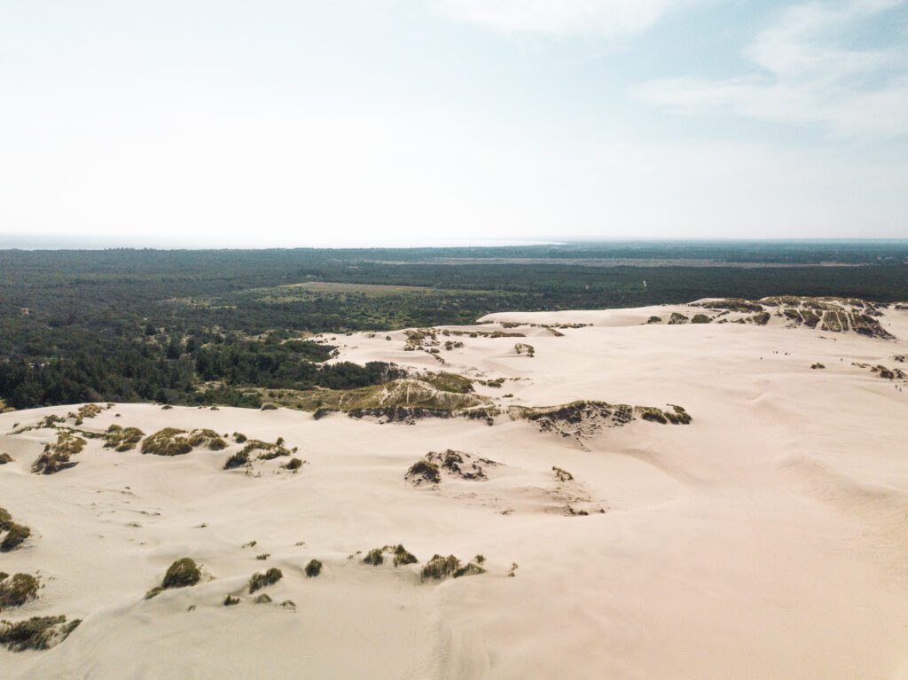 Råbjerg Mile Råbjerg Mile Denmark droneshot sanddunes skagen northern Jutland