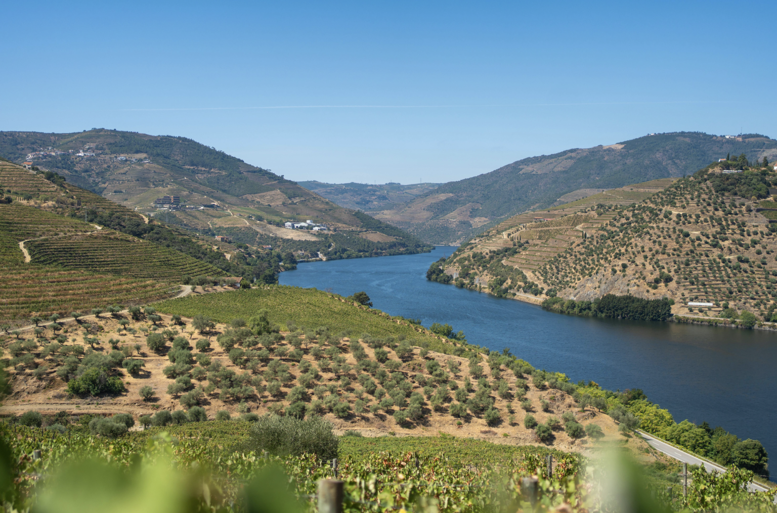 Douro Valley Day Trip Porto Daytrip